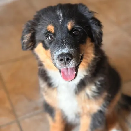 Les Etoiles Parque de Campismo