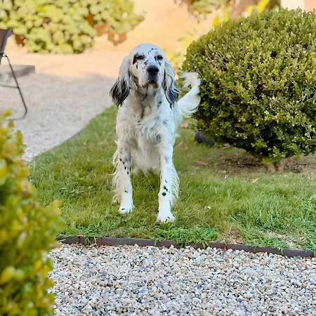 Parque de Campismo Les Etoiles