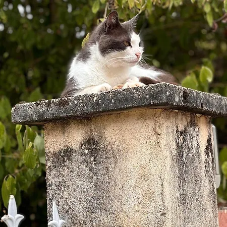 Les Etoiles Saint-Sauveur (Dordogne)