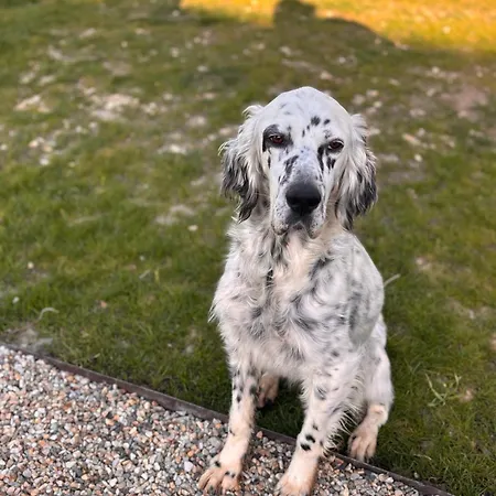 Parque de Campismo Les Etoiles Saint-Sauveur (Dordogne)