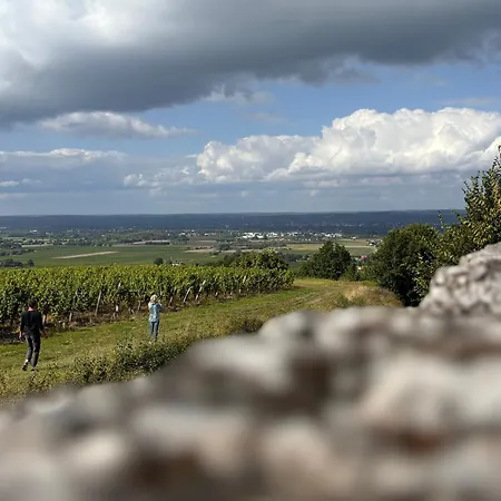 Les Etoiles Kamp alanı Saint-Sauveur (Dordogne)