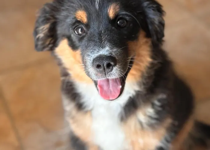 Les Etoiles Campingplatz