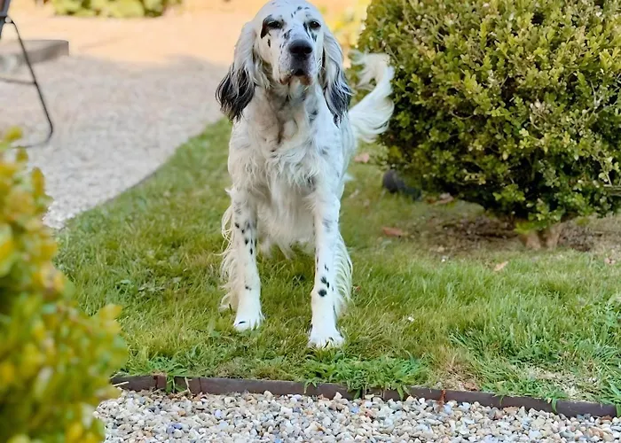 Campingplatz Les Etoiles