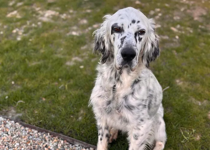 Parque de Campismo Les Etoiles Saint-Sauveur (Dordogne)